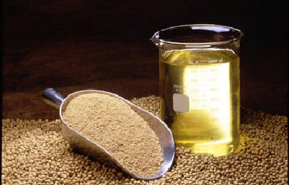 Soybean meal and oil