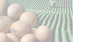 Fadel Feed Industries